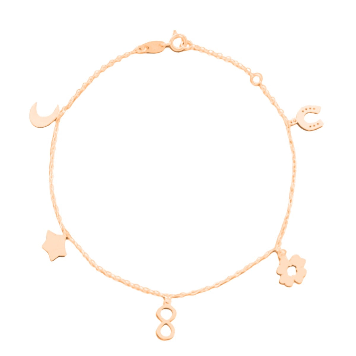charm bracelet in 9ct rose gold with horseshoe, flower, infinity, moon and star charm bracelet