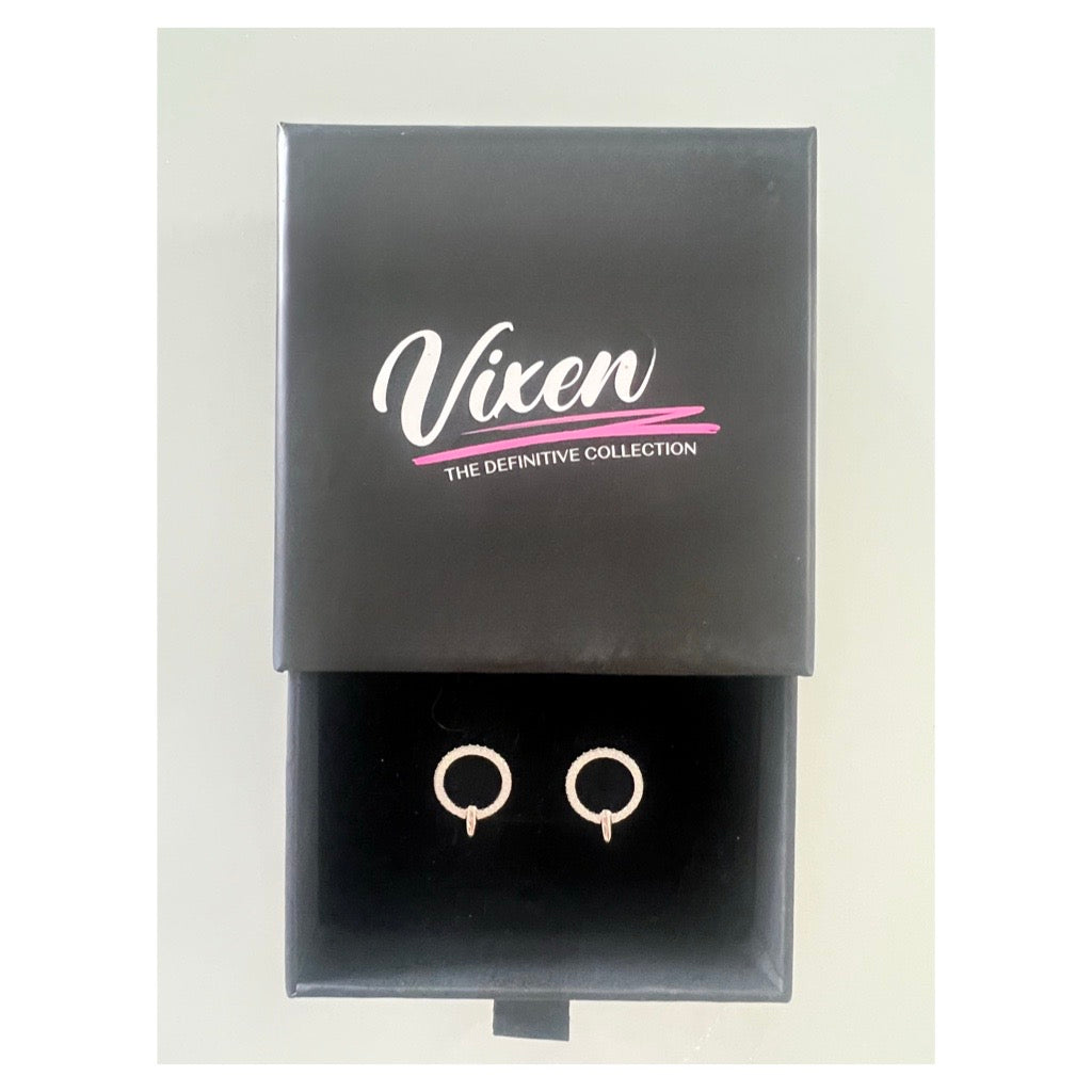 circle of life silver earrings displayedin vixen jewellery box